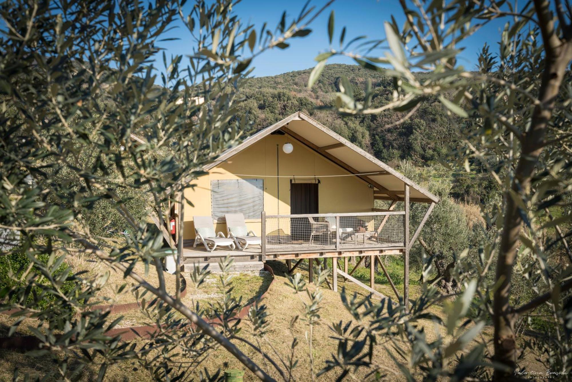 Podere Cortesi Agriturismo Molinaccio Santa Luce Exterior foto